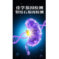 【Ebpay(中国)基因检测】肾结石基因检测项目介绍