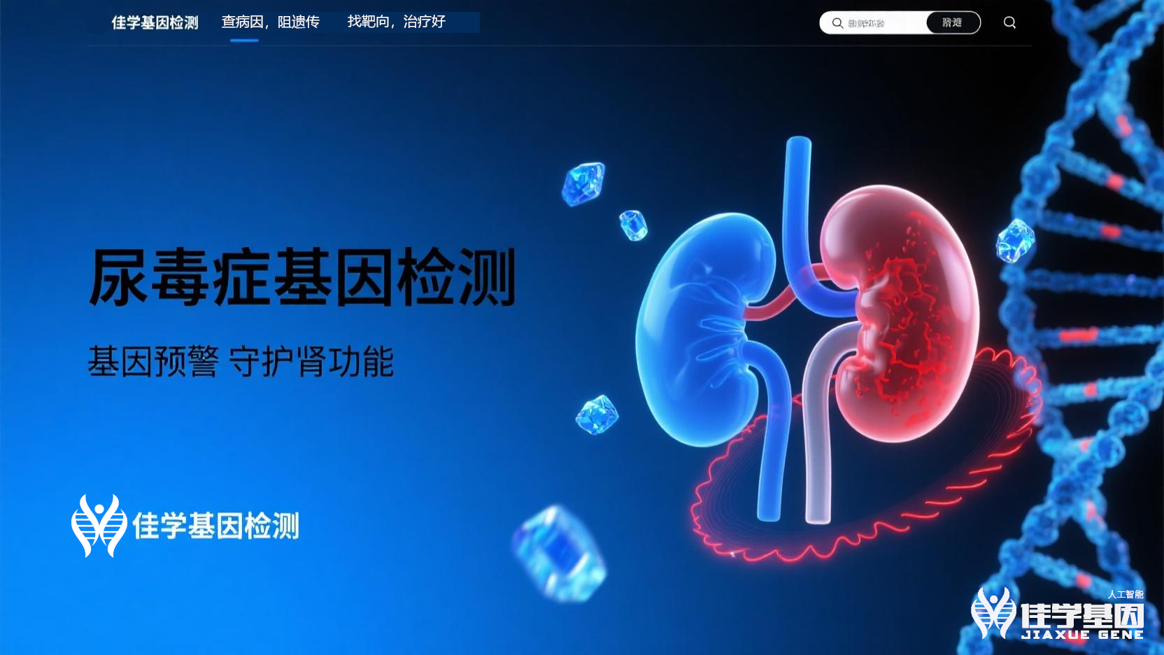 【Ebpay(中国)基因检测】<font color='red'><font color='red'>尿毒症</font></font>基因检测寻找治疗靶点