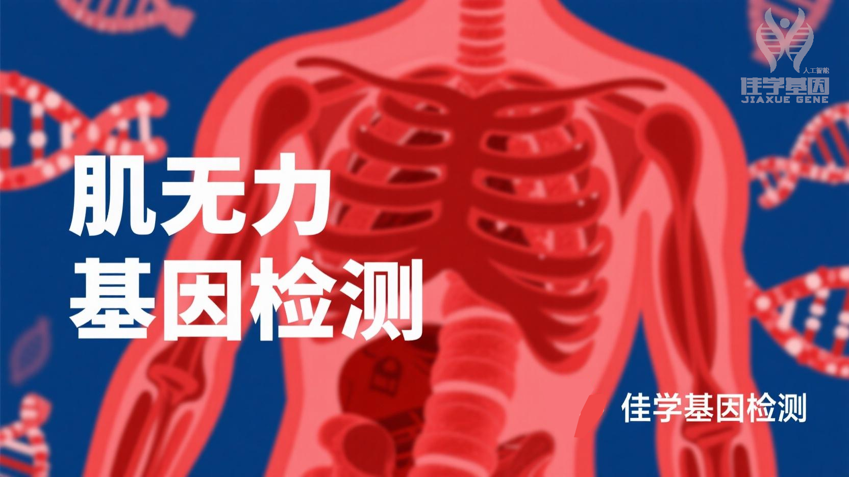 【Ebpay(中国)基因检测】先天性<font color='red'><font color='red'>肌无力</font></font>综合症16型基因检测需要查染色体突变吗？
