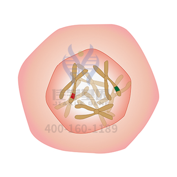 【Ebpay(中国)基因解码-基因检测】一种类肿瘤的肺部疾病——<font color='red'><font color='red'>特发</font><font color='red'>性肺</font><font color='red'>纤维</font>化</font>