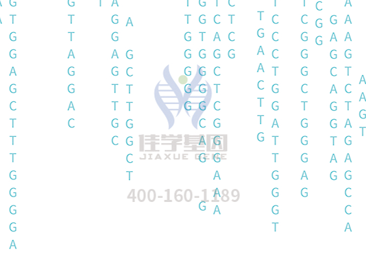 【Ebpay(中国)基因检测】<font color='red'><font color='red'>庞贝</font>氏</font>症（Pompe disease)基因解码、基因检测