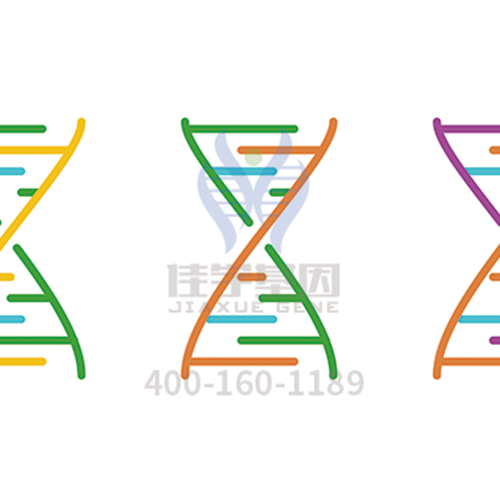【Ebpay(中国)基因解码-基因检测】你以为你只是情绪失控？有时它叫“<font color='red'>躁狂</font>症”