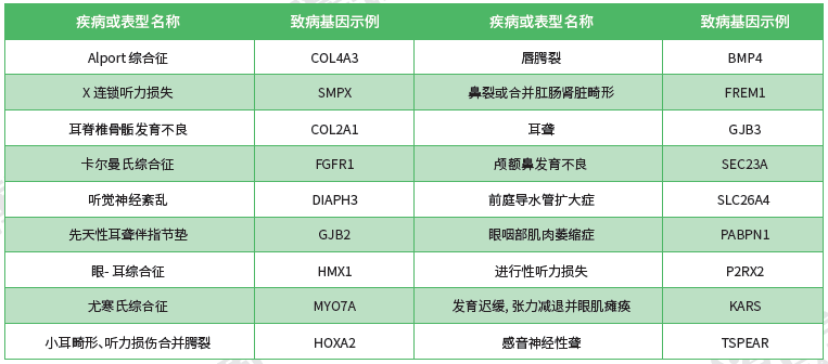 【Ebpay(中国)基因检测】<font color='red'><font color='red'>耳鼻喉</font><font color='red'>系统</font><font color='red'>疾病</font></font>致病基因鉴定基因解码
