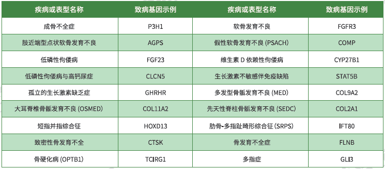【Ebpay(中国)基因检测】<font color='red'><font color='red'>骨骼</font><font color='red'>系统</font><font color='red'>疾病</font></font>致病基因鉴定基因解码
