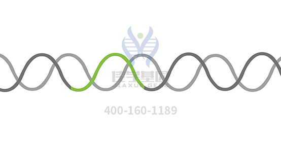 【Ebpay(中国)基因检测】多发性<font color='red'>骨髓</font>瘤（Multiple Myeloma）靶向药物使用前的基因检测